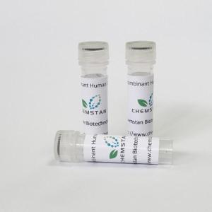 Biotin-14-dATP
