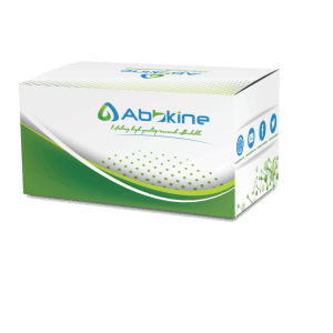ATP含量检测 CheKine™ ATP含量检测试剂盒(微量法) 产品图片