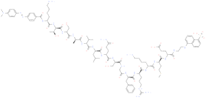 DABCYL-KTSAVLQSGFRKME-EDANS 产品图片